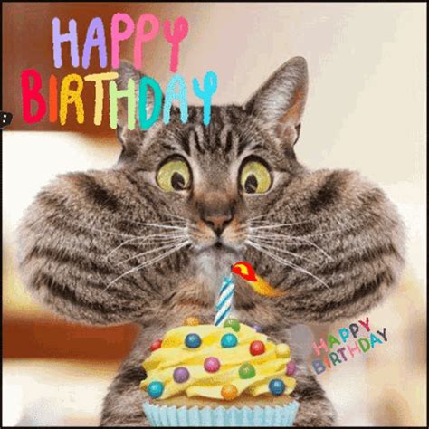 happy-birthday gif|The Happy Birthday Gif